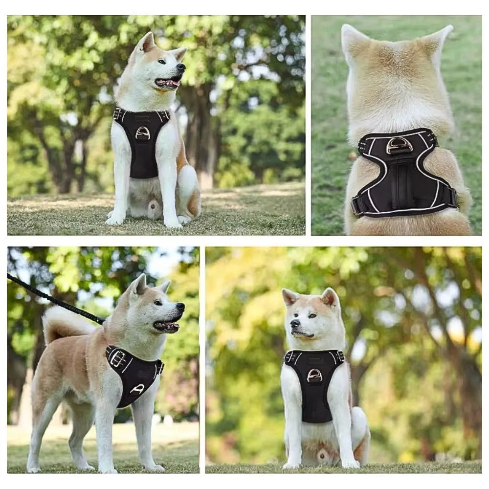 Akita-Hund mit ergonomischem Anti-Zug-Geschirr in Schwarz – optimale Passform, sicherer Halt & reflektierende Gurte für Spaziergänge.