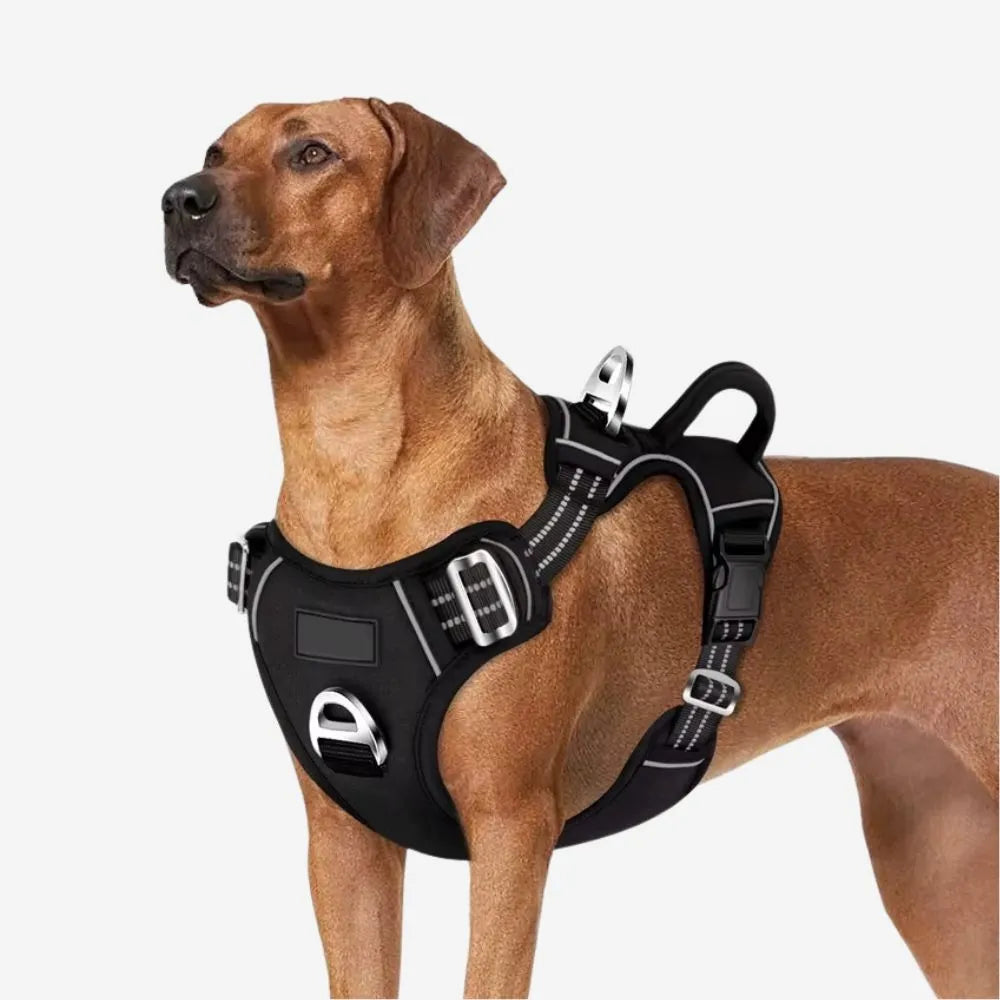 Robustes Anti-Zug Hundegeschirr in Schwarz mit hochwertig verarbeiteten Edelstahl-Ösen. Ergonomisch, sicher und reflektierend – perfekt für Hunde, die an der Leine ziehen.