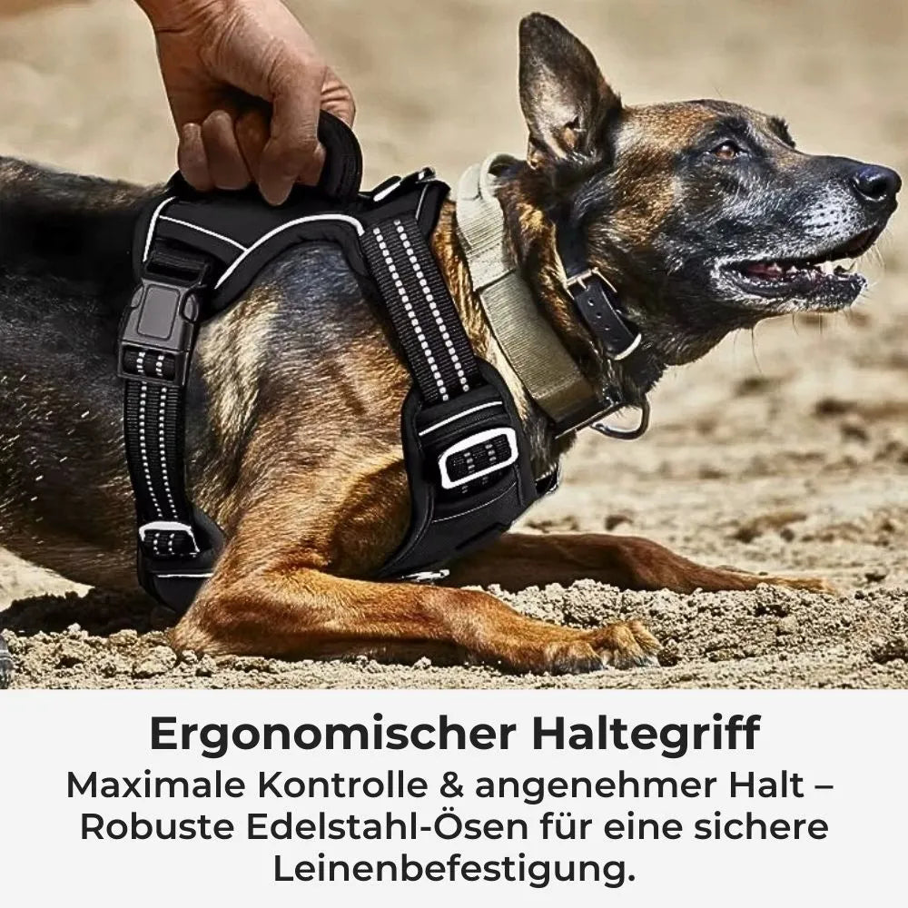 Hund mit ergonomischem Anti-Zug-Geschirr – mit stabilem Haltegriff & Edelstahl-Ösen für maximale Kontrolle und sicheren Halt.