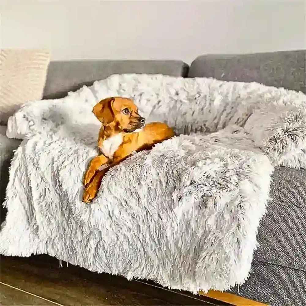 Flauschiges Hundebett fürs Sofa – HUNDESCHATZ™ – Kleiner brauner Hund entspannt auf dem weichen, luxuriösen Hundebett auf einer grauen Couch.