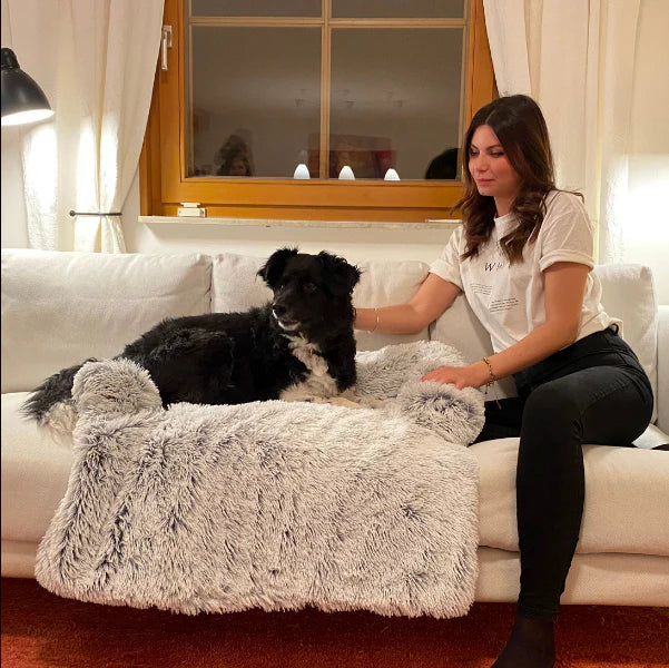 Flauschiges Hundebett fürs Sofa – HUNDESCHATZ™ – Schwarzer Hund entspannt auf dem luxuriösen Hundebett, begleitet von einer Frau in gemütlicher Wohnzimmeratmosphäre.