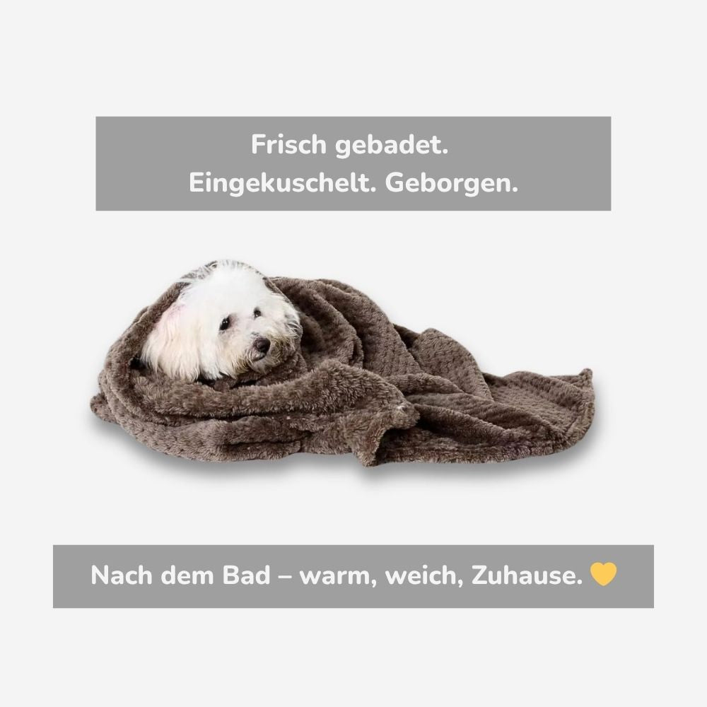Weißer Hund eingekuschelt in weiche Decke nach dem Baden – warm, geborgen und gemütlich mit HUNDESCHATZ