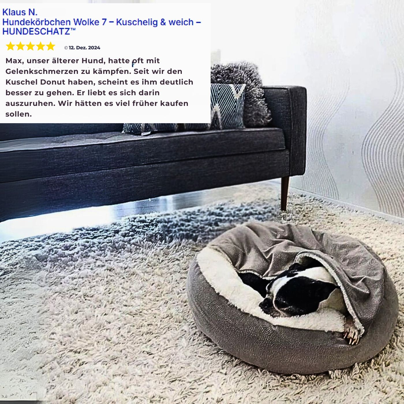 Kundenbewertung zur beruhigenden Hundehöhle von HUNDESCHATZ – älterer Hund entspannt im kuscheligen Hundebett, lindert Gelenkschmerzen und fördert erholsamen Schlaf. Ideal bei  ängstlichen Hunden.