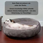 Hund entspannt in kuscheliger Hundehöhle mit Decke – geborgen schlafen wie in einer Umarmung | HUNDESCHATZ