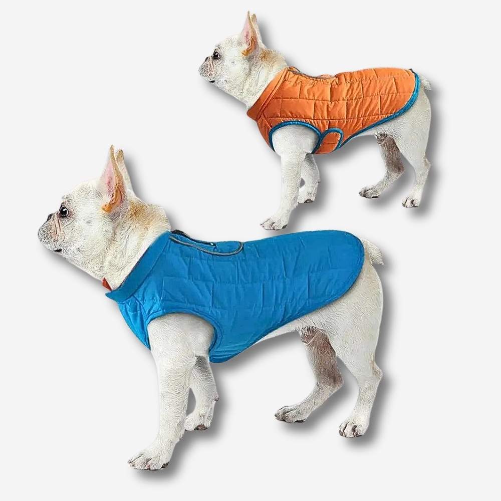 HUNDESCHATZ™ Hundemantel in Blau und Orange – Steppweste für Hunde, bietet Wärme und Schutz bei kaltem Wetter, ideal für Spaziergänge im Winter.