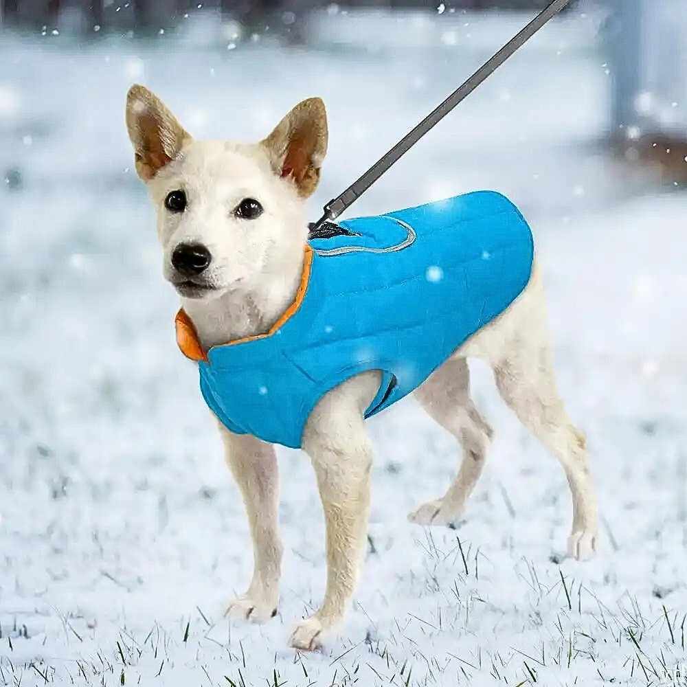 HUNDESCHATZ™ Hundemantel in Blau mit orangem Futter – ideal für kaltes Wetter, schützt vor der Kälte und sorgt für Wärme bei winterlichen Spaziergängen.