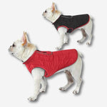 HUNDESCHATZ™ Hundemantel in Rot und Schwarz – Steppweste für Hunde, bietet Wärme und Schutz bei kaltem Wetter, ideal für Spaziergänge im Winter.