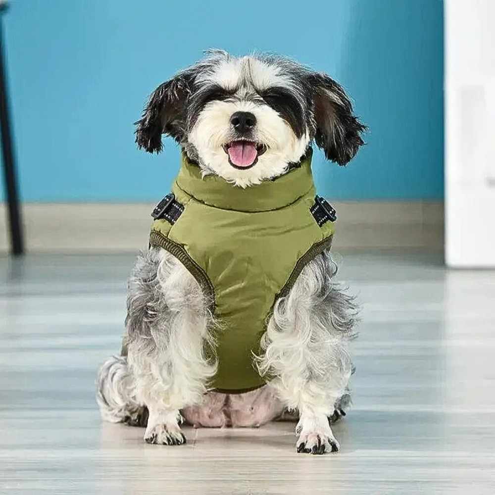 Ein Hund sitzt auf dem Boden, trägt einen grünen wasserdichten Hundemantel für den Winter. Der Mantel hat verstellbare Gurte und einen hohen Kragen, um den Hund vor Kälte zu schützen.