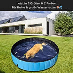 Hund badet im blauen Hundepool auf der Wiese – Hinweis auf 3 Größen & 2 Farben für Wasserratten