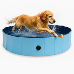 Golden Retriever springt in blauen Hundepool XXL – voller Wasserspaß an heißen Tagen
