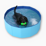 Schwarzer Hund schwimmt im Hundepool XXL mit grünem Spielzeug im Maul
