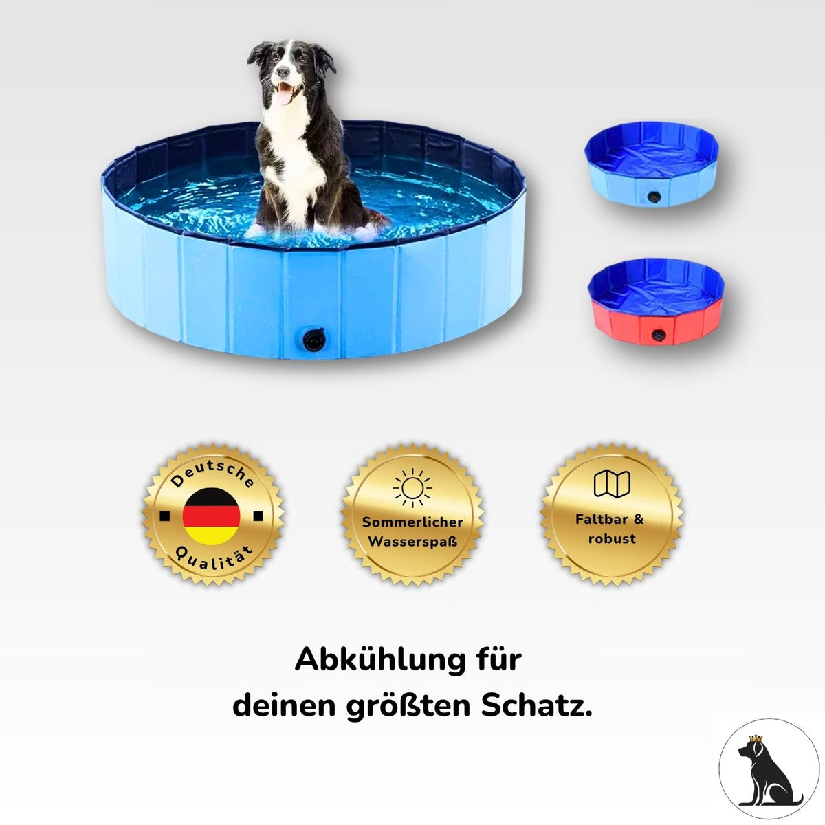 Hund sitzt im Hundepool XXL – mit Siegeln für Qualität, Wasserspaß & Robustheit