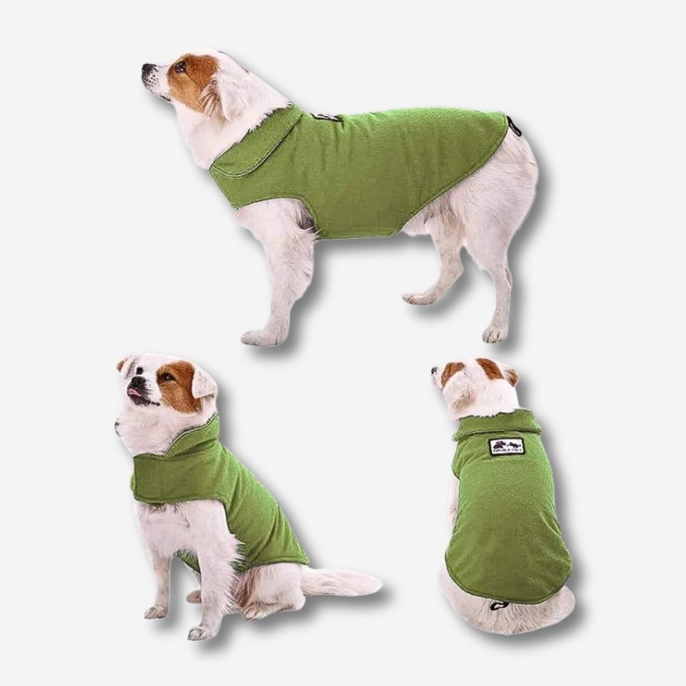 Hundepullover in Grün – Wärmeschutz & Komfort – HUNDESCHATZ™. Der Hund trägt einen grünen Pullover mit einem komfortablen, warmen Kragen. Der Pullover bietet Schutz vor Kälte und ist einfach anzuziehen, dank des praktischen Klettverschlusses. Perfekt für kalte Tage, um Ihrem Hund den nötigen Komfort und Wärme zu bieten. Ideal für Spaziergänge und den täglichen Gebrauch.