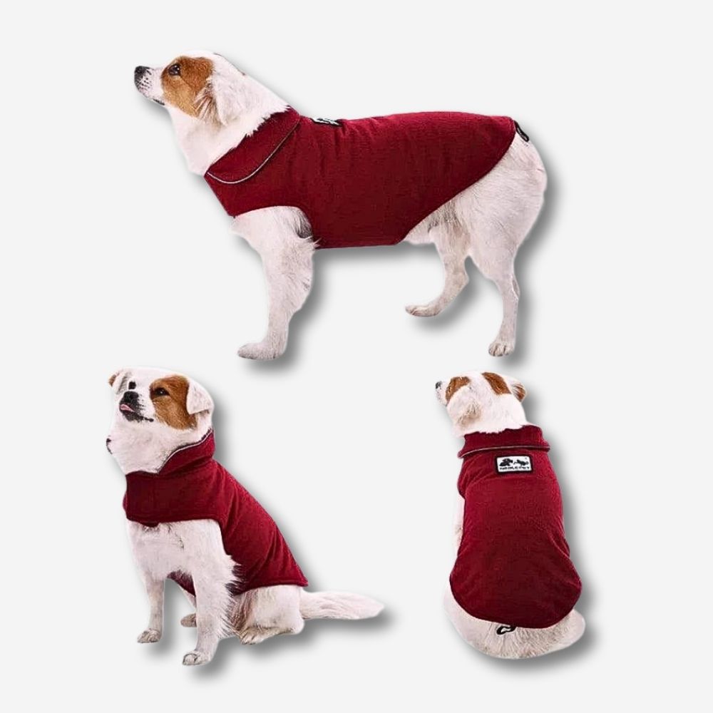 Weinroter Hundepullover – kuschelig, warm und reflektierend für kalte Tage – HUNDESCHATZ™.