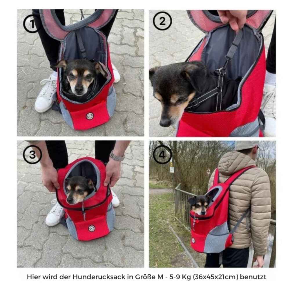 Vier Bilder zeigen die Anwendung des Hunderucksacks „Outdoor“ von HUNDESCHATZ™ in Größe M für Hunde von 5-9 kg (36x45x21 cm), inklusive Sicherheitsbefestigung und Tragekomfort.