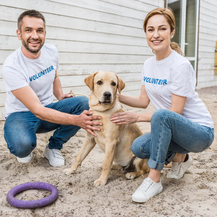 Zwei freundliche Freiwillige in weißen T-Shirts mit der Aufschrift "Volunteer" knien neben einem geretteten Hund und lächeln. Gemeinsam für den Tierschutz – jede Unterstützung zählt! 🐾💙