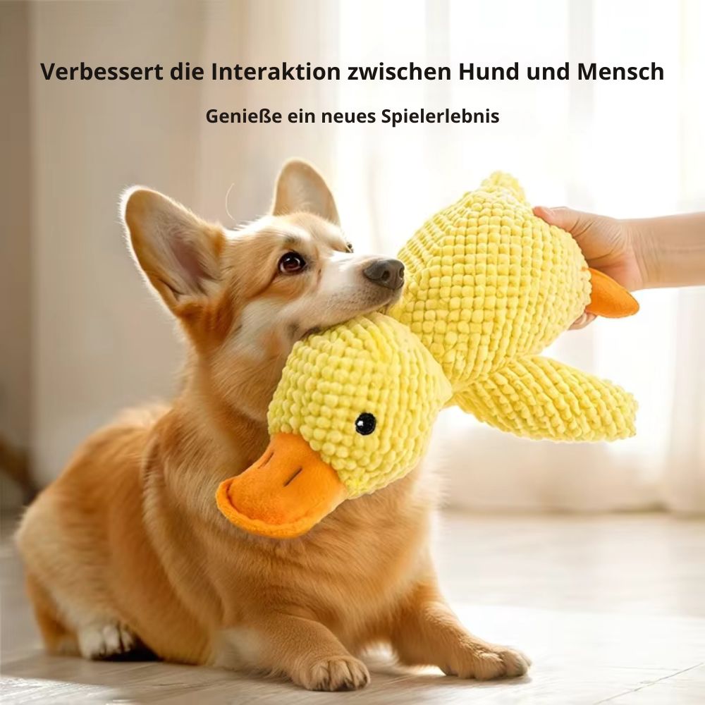 Hundespielzeug Quietscheente stärkt die Bindung zwischen Hund und Halter.