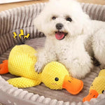 Hundespielzeug Quietscheente – weich, robust und ideal zum Kuscheln