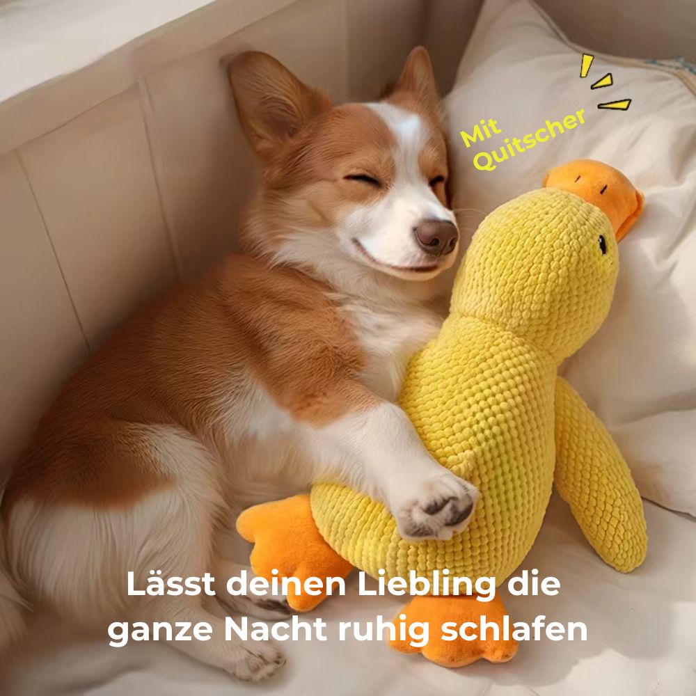 Hundespielzeug Quietscheente sorgt für Entspannung und ruhige Nächte