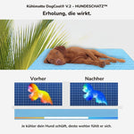 Kühlmatte DogCool V.2 von HUNDESCHATZ – Vorher-Nachher Effekt für erholsamen Schlaf und angenehme Kühlung