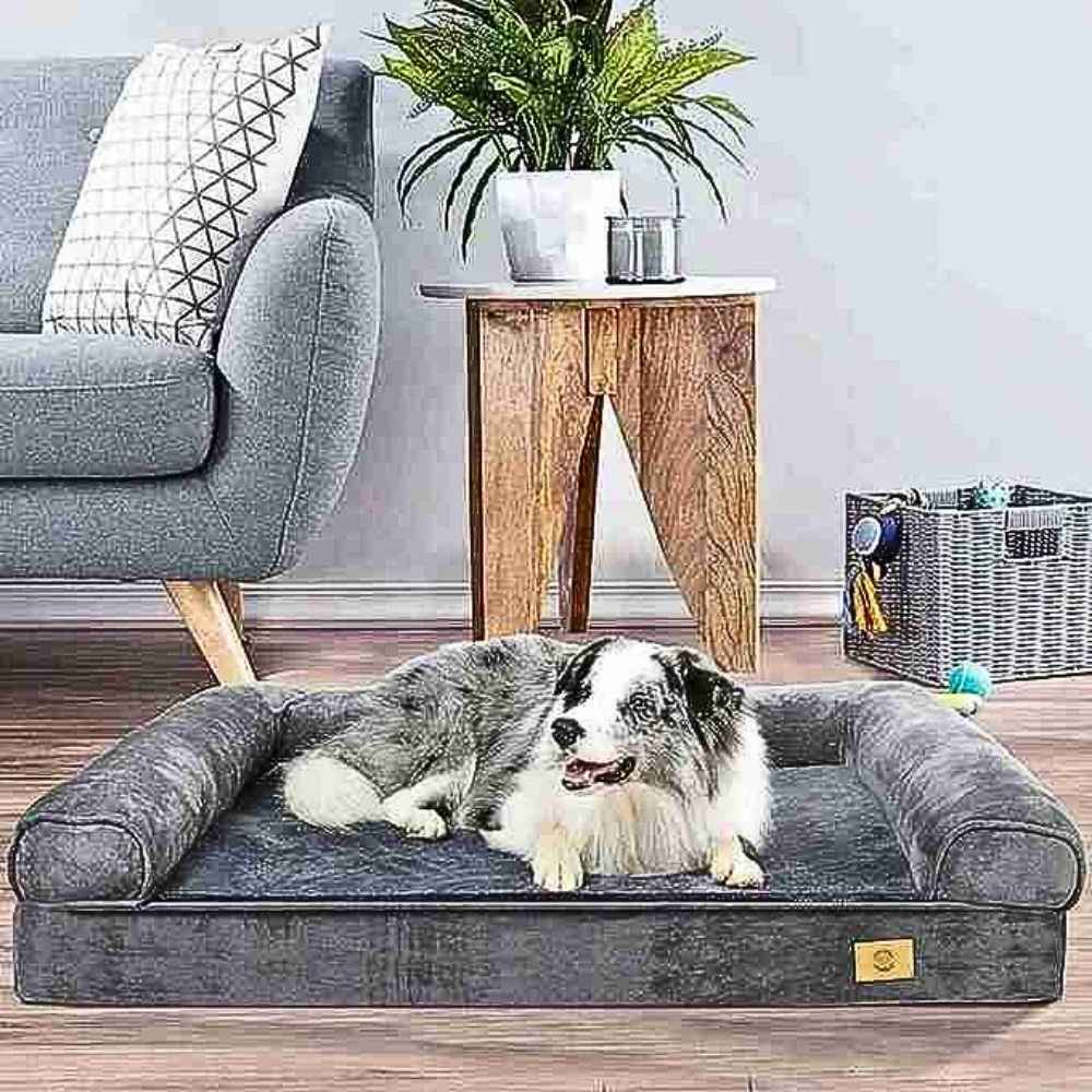 Ein glücklicher Hund liegt entspannt auf der orthopädischen Hundeliege "Elegance" von HUNDESCHATZ™ in einem stilvollen Wohnzimmer. Hochwertiges Design für Komfort und Ästhetik.