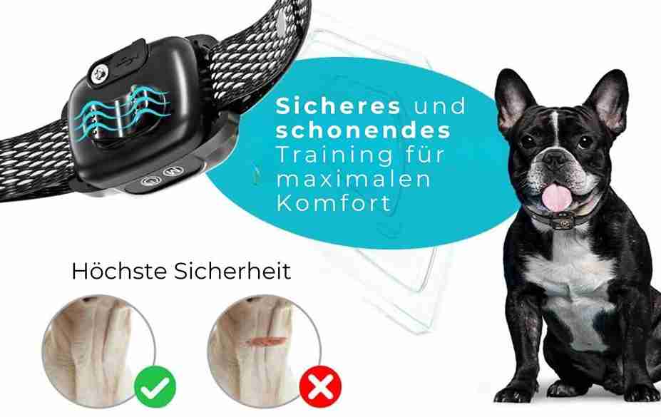 Das Antibellhalsband sorgt für höchste Sicherheit. Sicheres und schonendes Training für maximalen Komfort.