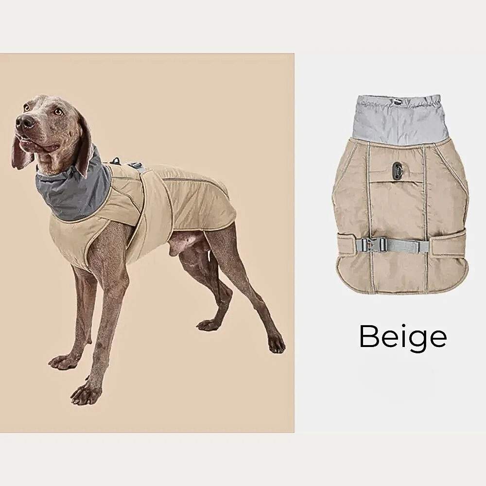 Winter Hundejacke "Nordwind" – HUNDESCHATZ™ in Beige für Hunde, mit verstellbarem Kragen, wasserdichter Außenschicht und komfortablem Innenfutter.