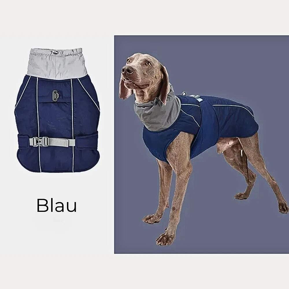 Winter Hundejacke "Nordwind" – HUNDESCHATZ™ in Blau für Hunde, mit verstellbarem Kragen, wasserdichter Außenschicht und komfortablem Innenfutter.