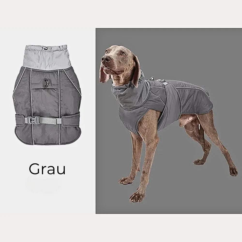 Winter Hundejacke "Nordwind" – HUNDESCHATZ™ in Grau für Hunde, ausgestattet mit einem robusten Gürtel und hohem Kragen, ideal für kalte Tage.