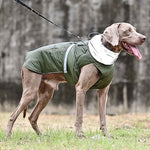 Winter Hundejacke "Nordwind" in Grün – HUNDESCHATZ™ für Hunde, mit hohem Kragen und verstellbarem Gurt, perfekt für kaltes Wetter, schützt und wärmt bei jeder Witterung.