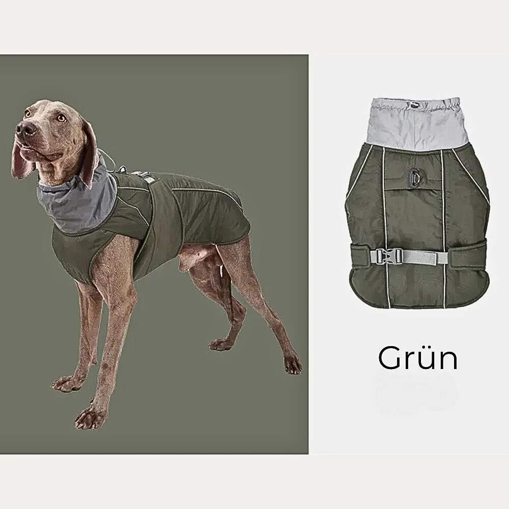 Winter Hundejacke "Nordwind" – HUNDESCHATZ™ in Grün für Hunde, mit verstellbarem Kragen, wasserdichter Außenschicht und komfortablem Innenfutter.