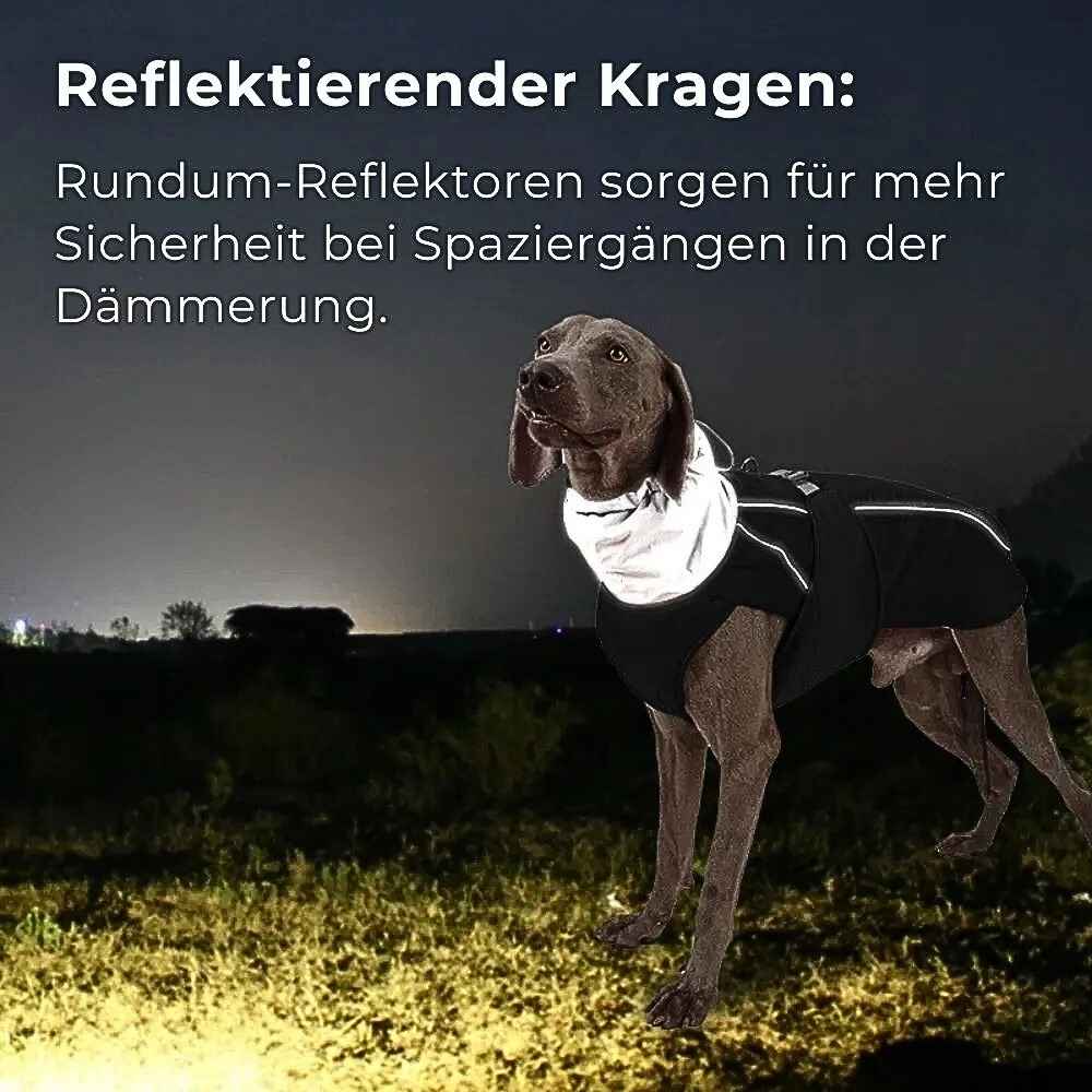 Winter Hundejacke "Nordwind" – HUNDESCHATZ™ mit reflektierendem Kragen für erhöhte Sicherheit bei Spaziergängen in der Dämmerung.