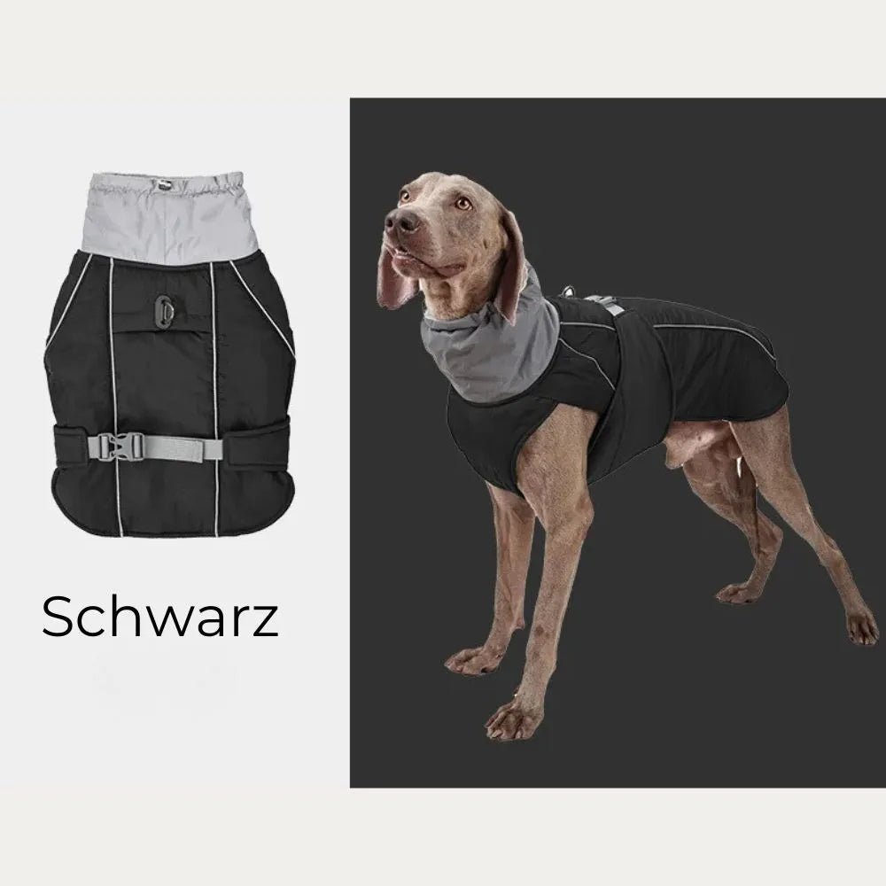 Winter Hundejacke "Nordwind" in Schwarz – HUNDESCHATZ™ für Hunde, mit hohem Kragen und verstellbarem Gurt, ideal für kalte Temperaturen, bietet zusätzlichen Komfort und Schutz.